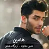 رمان شخصیت هامین در رمان مدیر معاون آوارگان عشق به قلم نسترن قره داغی