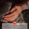 رمان عاشقانه راز گل بهارنارنج , نویسنده ویدا چراغیان