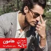 رمان مافیایی مهمیزهای سیاه شخصیت هامون